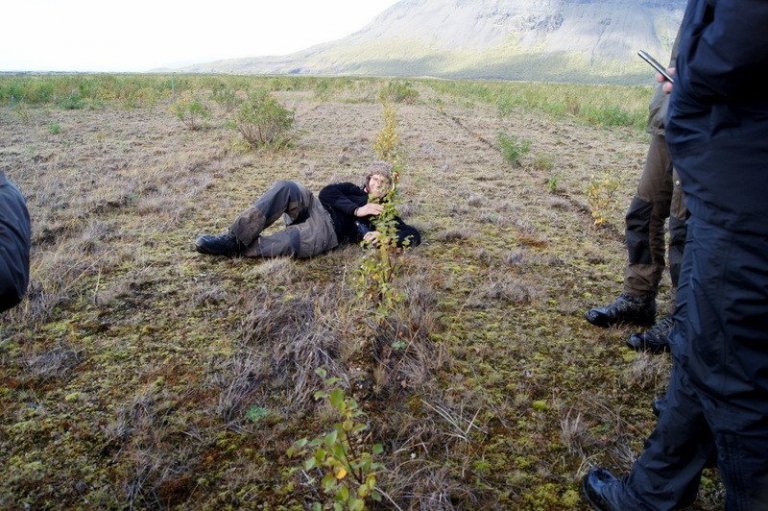 Skandinavískir skógfræðinemar og starfsfólk umhverfis- og auðlindaráðuneytisins heimsækja Hekluskógaverkefnið.