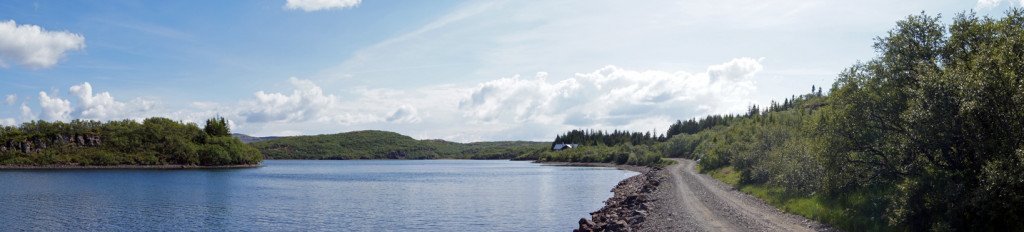 Jafnaskarðsskógur