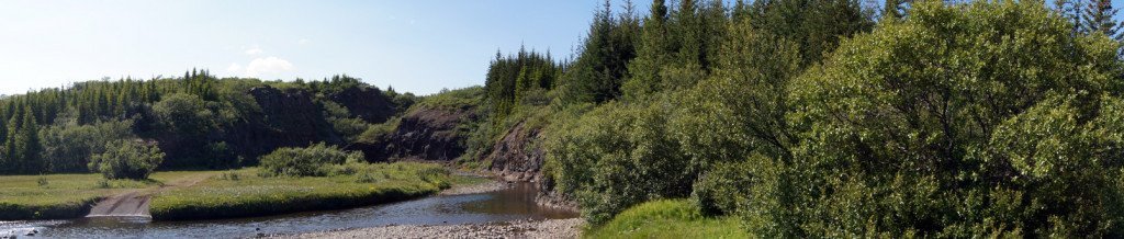 Jafnaskarðsskógur