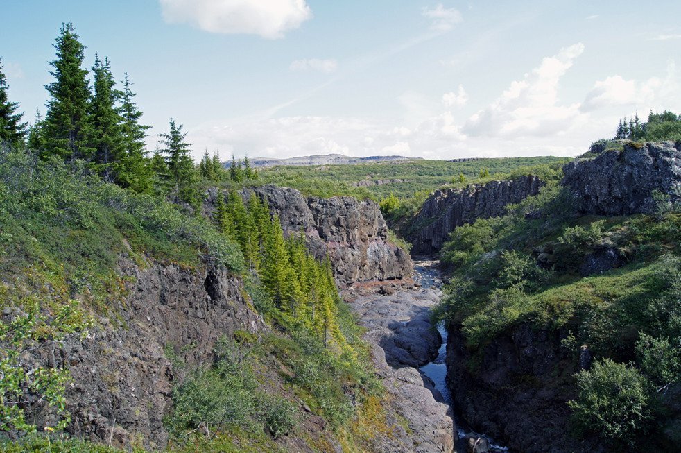 Jafnaskarðsskógur