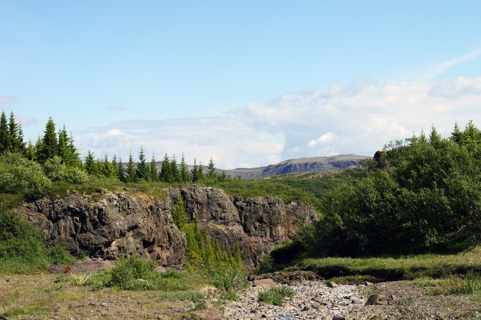 Jafnaskarðsskógur