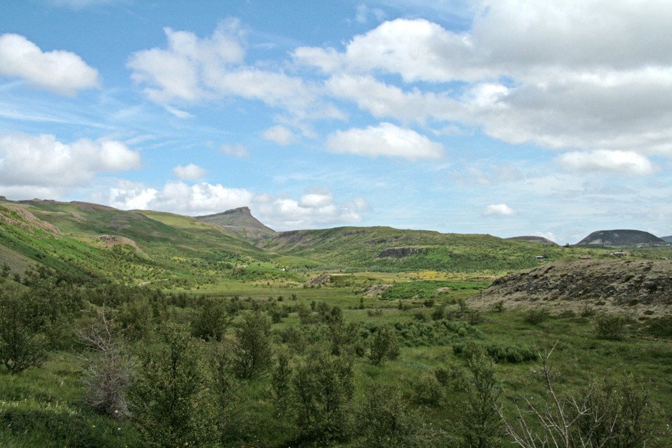 Í Jafnaskarðsskógi.