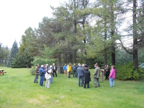 Larix2012-(3)