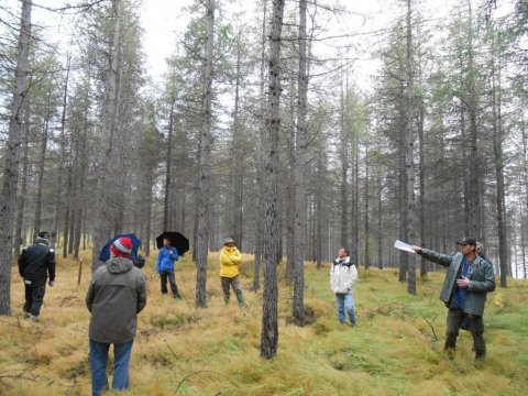 Larix2012-(4)