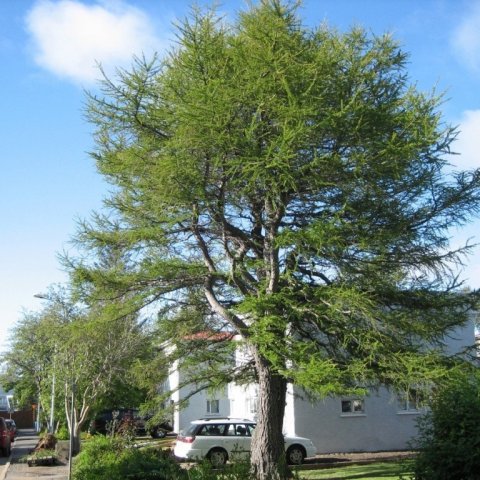 EL-Ak-0609