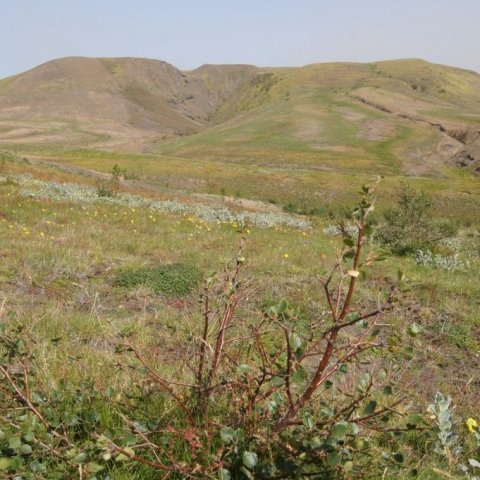 DSC08299