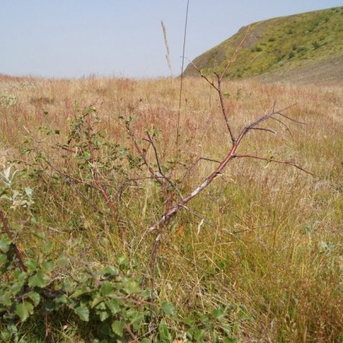 DSC08318