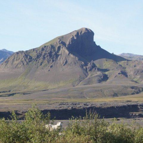 DSC08404