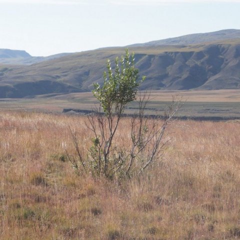 DSC08406