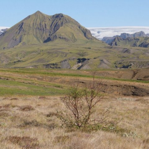 DSC08419