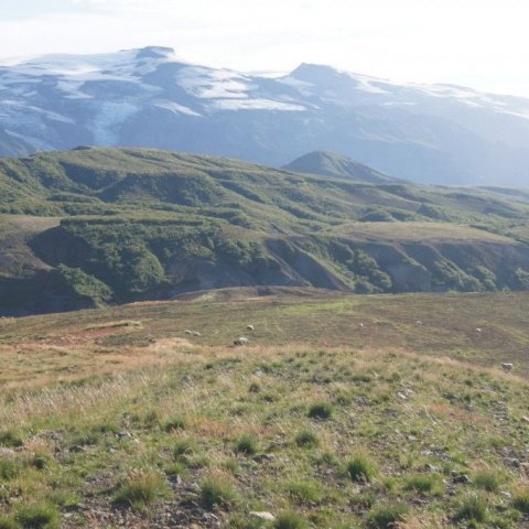 DSC08433
