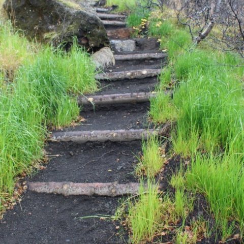 trail_building_with_timber3.jpg