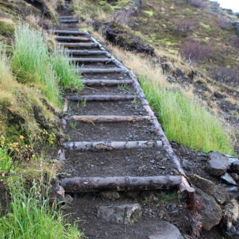 trail_building_with_timber5.jpg