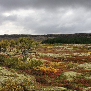 Þingvellir