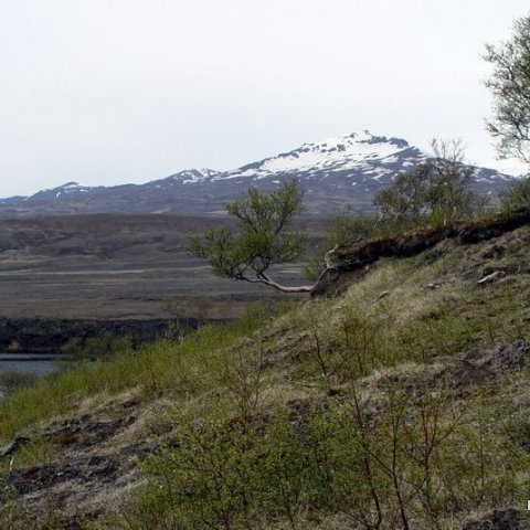 Þórsmörk