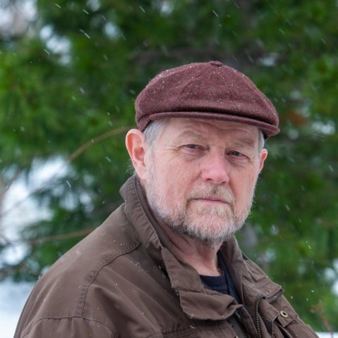 Þröstur í skógi