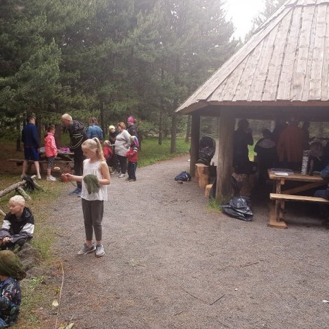 20190616_120903.jpg