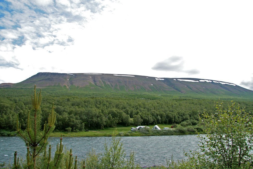 Vaglaskógur