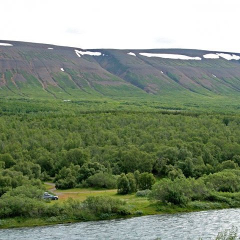 Í Vaglaskógi