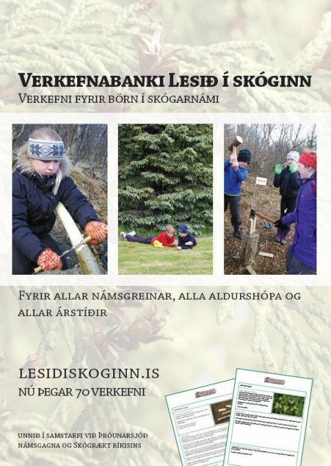 Verkefnabanki---plakat